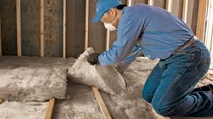 Best Eco-Friendly or Green Insulation Solutions  in Tyler, TX